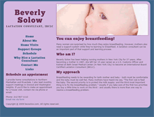 Tablet Screenshot of bevsolow.com